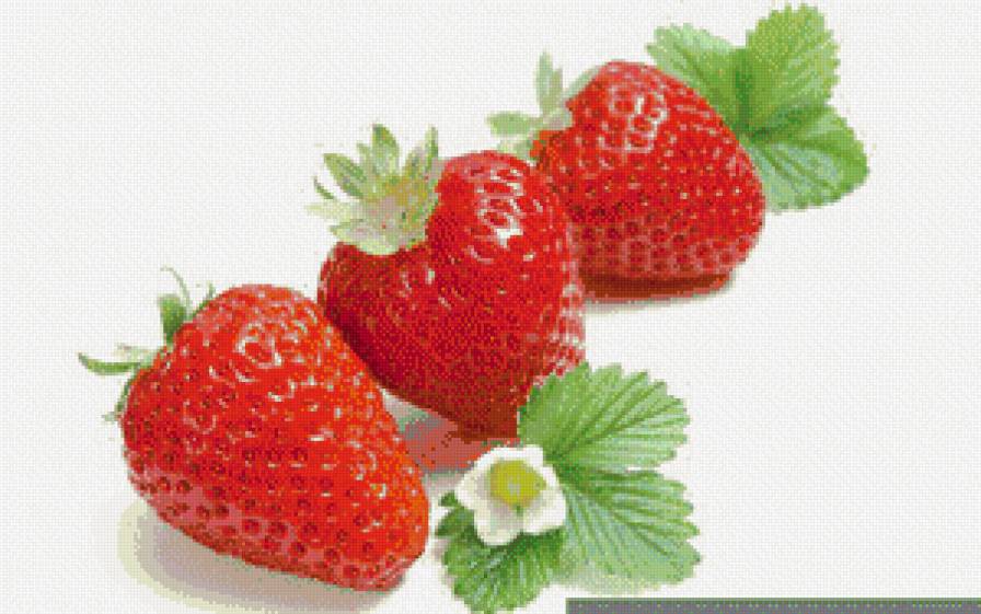 №453886 - ягоды - предпросмотр