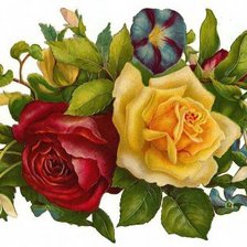 Схема вышивки «цветы»