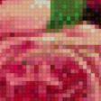 Предпросмотр схемы вышивки «цветы» (№454054)