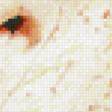Предпросмотр схемы вышивки «ЯРКАЯ» (№454110)