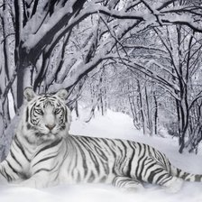 Схема вышивки «тигр»