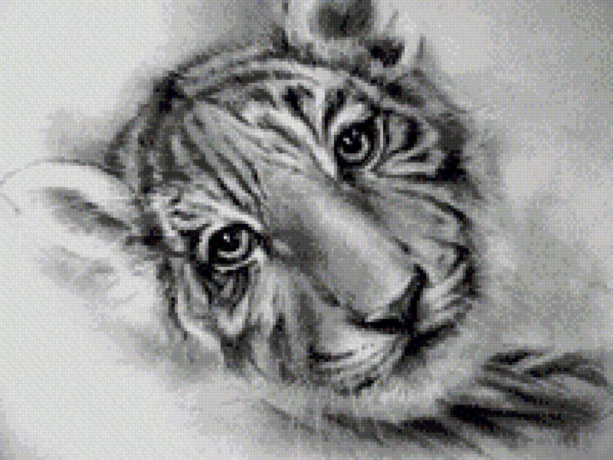 полосатая мордашка - тигренок, животные - предпросмотр