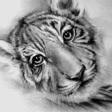 Схема вышивки «полосатая мордашка»