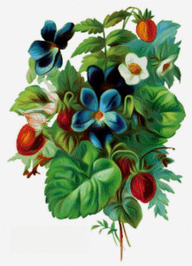 №454283 - ягоды, букет, фиалки, цветы - предпросмотр