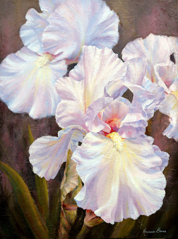 ирисы - ирисы, живопись, цветы - оригинал
