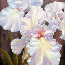 Схема вышивки «ирисы»