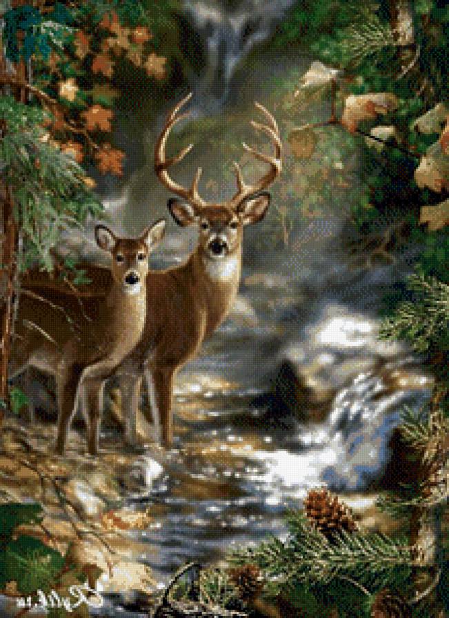 олени у реки - река, животные, олени, лес - предпросмотр