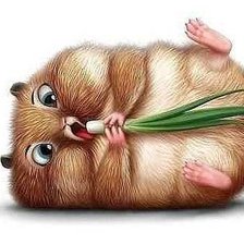 Схема вышивки «обжорка»