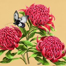 Схема вышивки «№454475»