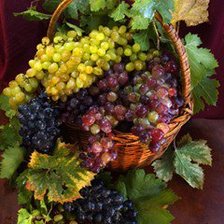 Схема вышивки «№454511»