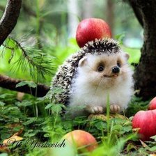 Схема вышивки «№454527»