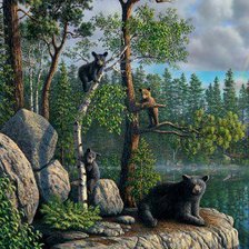 Схема вышивки «№454537»