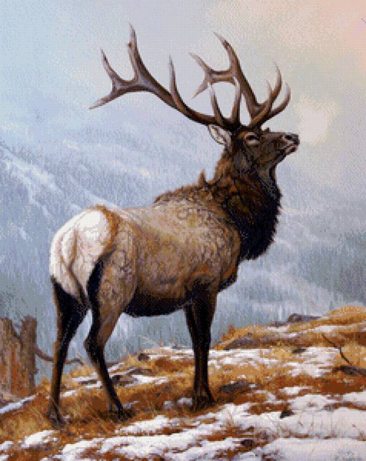 олень - мир животных - предпросмотр