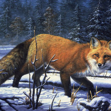 Схема вышивки «лесная красавица»