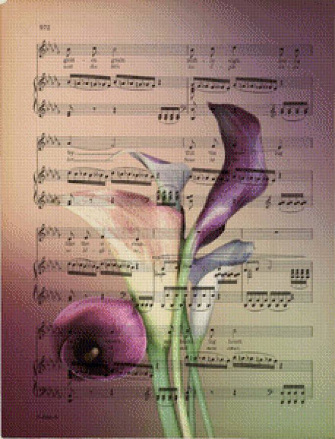 ноты - ноты, цветы - предпросмотр
