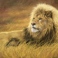 Схема вышивки «Царь зверей»