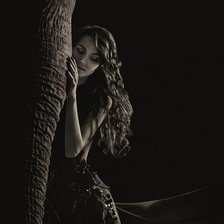 Девушка и слон