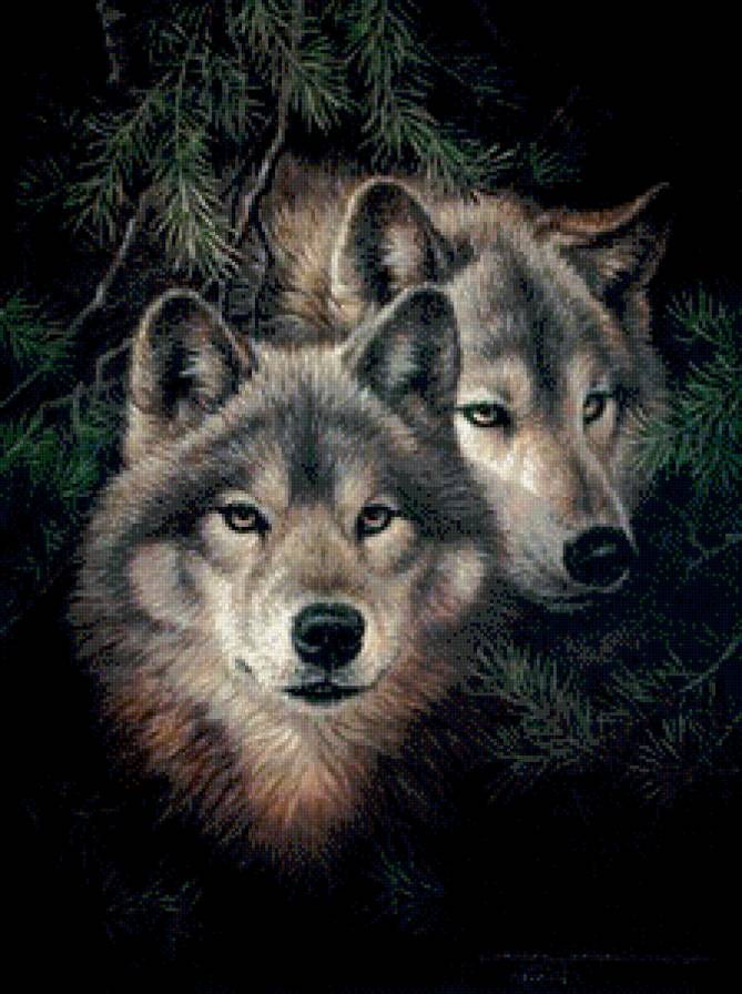 Volk i volchica - предпросмотр