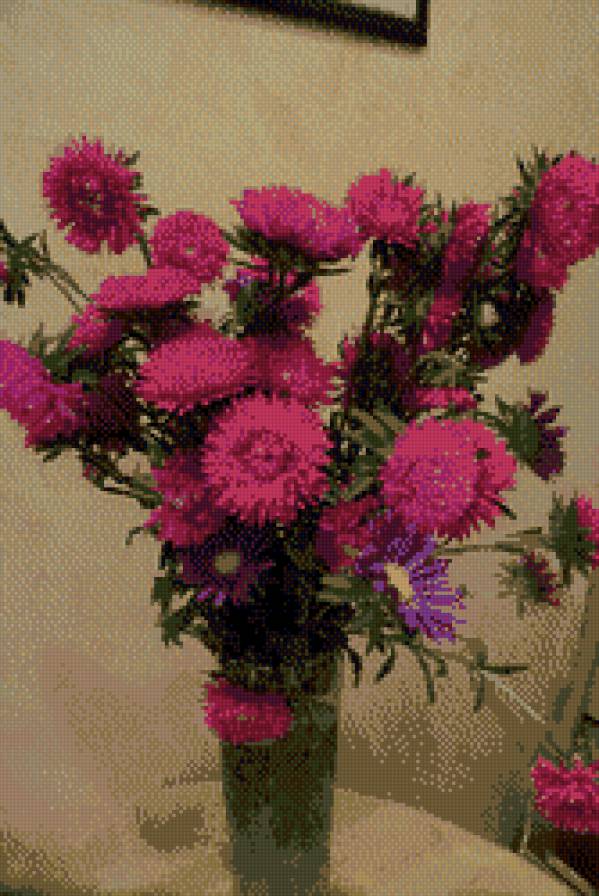 астры - предпросмотр