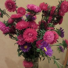 Схема вышивки «астры»