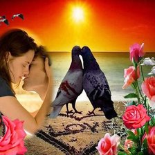 Схема вышивки «любовь и голуби»