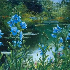 Голубые цветы