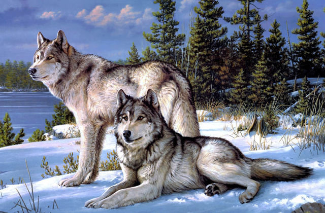 Тамбовские волки - оригинал