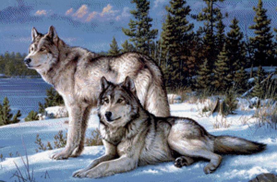 Тамбовские волки - предпросмотр