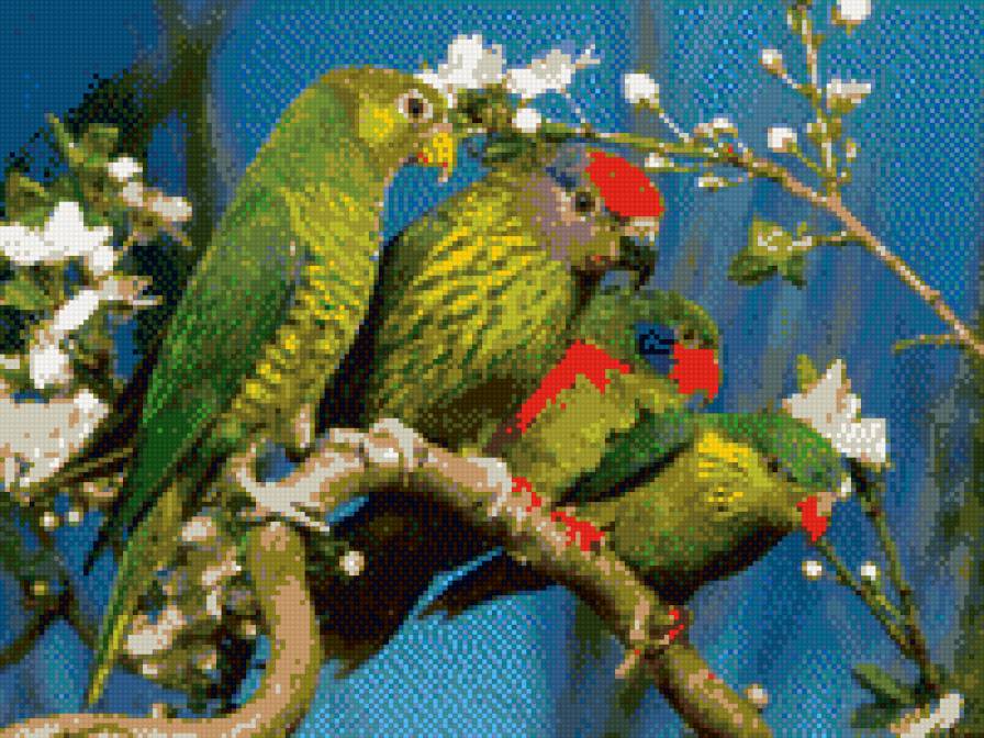 Разноперое семейство - предпросмотр