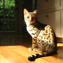 Схема вышивки «Любимица»