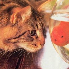 Схема вышивки «Кот и рыбка»