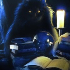 Схема вышивки «чёрный кот»