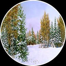 Схема вышивки «№455556»