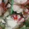 Предпросмотр схемы вышивки «розы 2» (№455678)