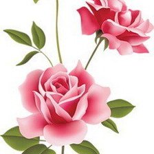 Схема вышивки «№455701»