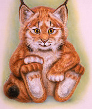 эти забавные животные