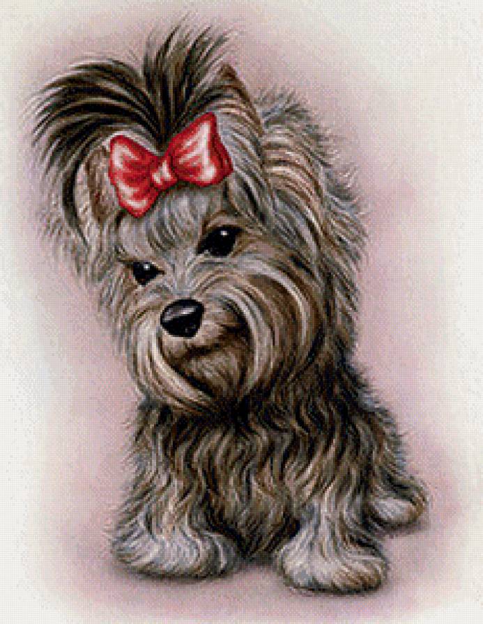 эти забавные животные - предпросмотр