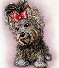 эти забавные животные