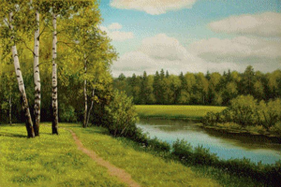 Лето - река, березки, природа, летний пейзаж - предпросмотр
