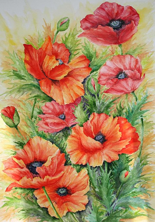 Маки - цветы - оригинал