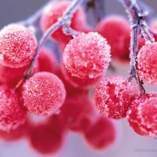 Схема вышивки «ягода»