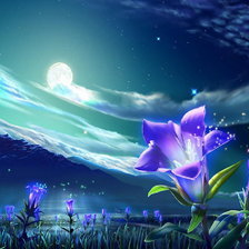 Схема вышивки «ночь»