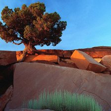 Схема вышивки «Пейзаж»