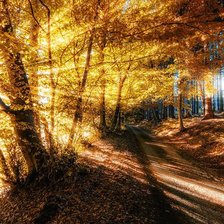 Схема вышивки «В лучах солнца»