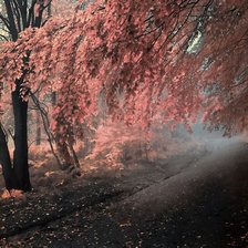 Схема вышивки «Цвета осени»