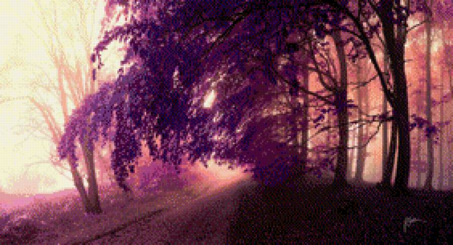 Цвета осени - дорога, лес, осень, листья - предпросмотр