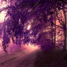 Схема вышивки «Цвета осени»