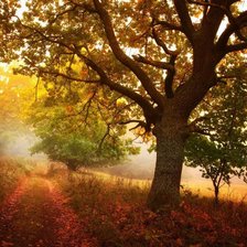 Схема вышивки «Осенний туман»