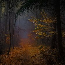 Схема вышивки «В глуши»