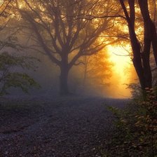 Схема вышивки «Вечер в лесу»